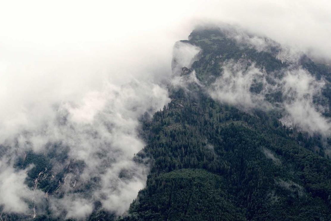 Repellat dolor modi optio ipsa minus corporis